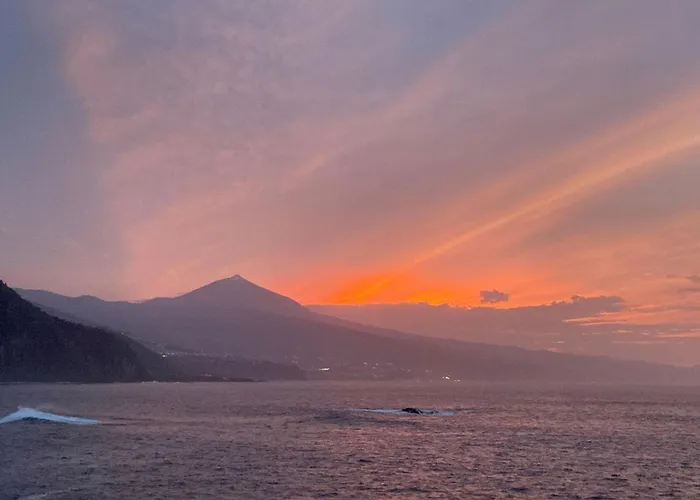 Apartament Salitre Oasis