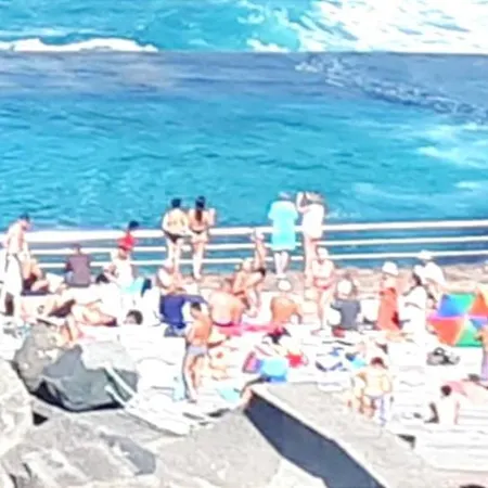 Salitre Oasis *